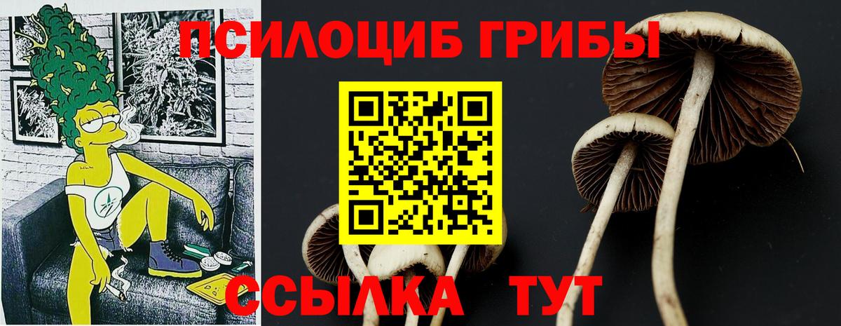 Назрань  Псилоцибиновые грибы Cubensis  Вход с VPN 